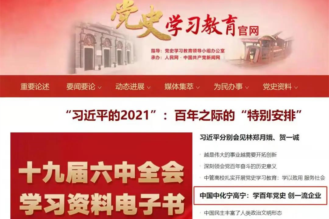 中國中化黨組書記、董事長寧高寧：學百年黨史 知紅色司史 做合格黨員 創一流企業