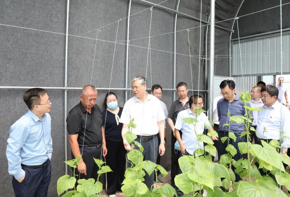 李凡榮總經理赴河北省平山縣調研指導定點幫扶工作