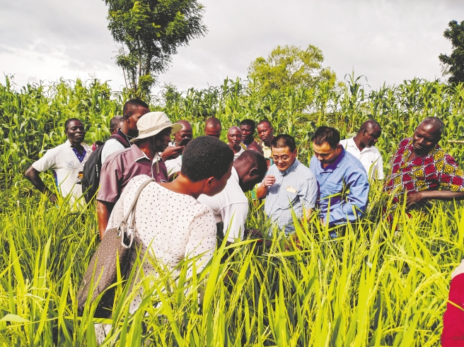 WIN-ALL Undertakes Several Agricultural Assistance Projects in Togo