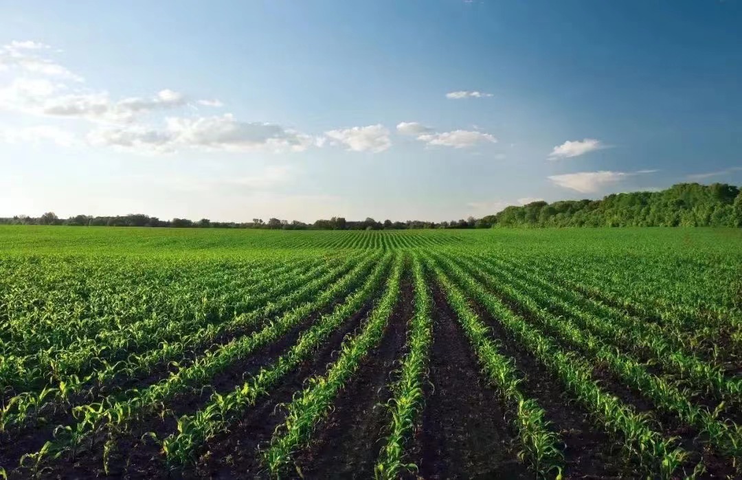Syngenta Group Reports Strong Performance in Q3 2022