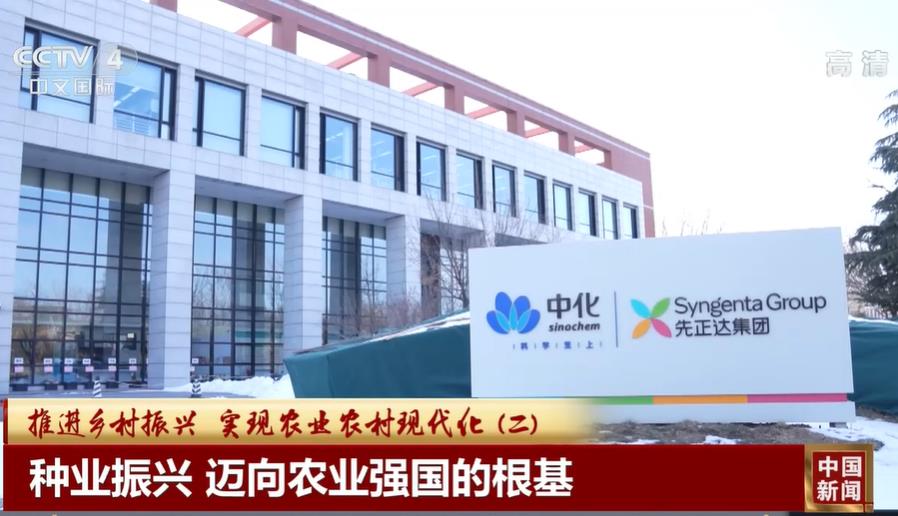 [視頻]種業振興 邁向農業強國的根基