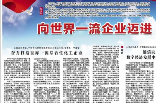 奮力打造世界一流綜合性化工企業