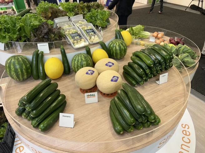 Syngenta Group Vegetable Seeds Displayed at Fruit Logistica Berlin