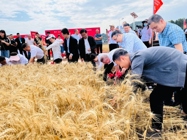 The “Planting, Harvesting and Field Management” Give Bumper Harvest Promise