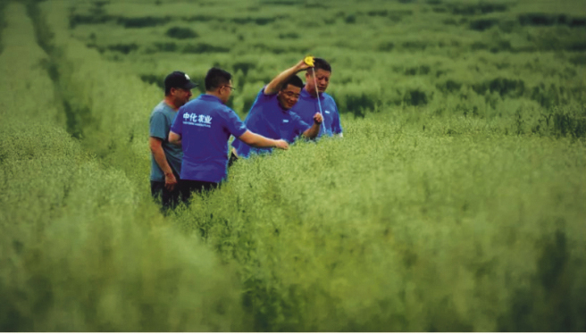 MAP攜手阿旗打造產業幫扶新模式