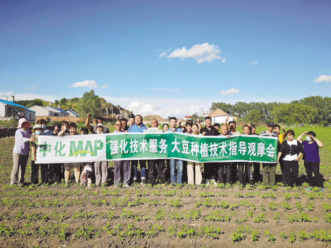 “擴豆增油”  MAP助力農民增產增收