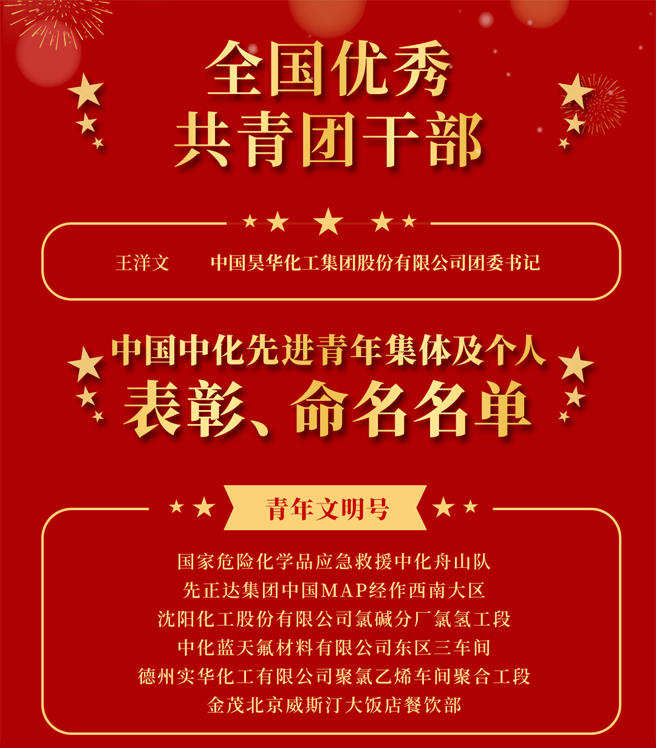 公司表彰一批先進青年集體和個人
