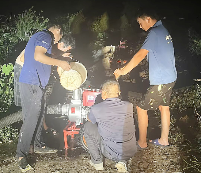 中國中化積極助力洪澇災區農業生產恢復