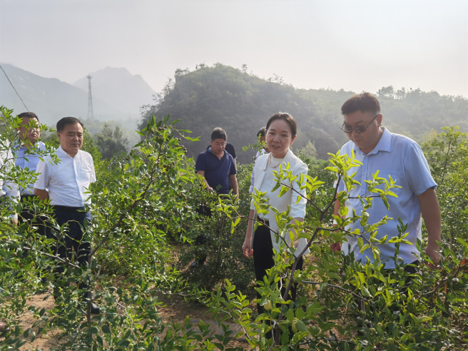 陳德春赴河北平山調研公司定點幫扶工作